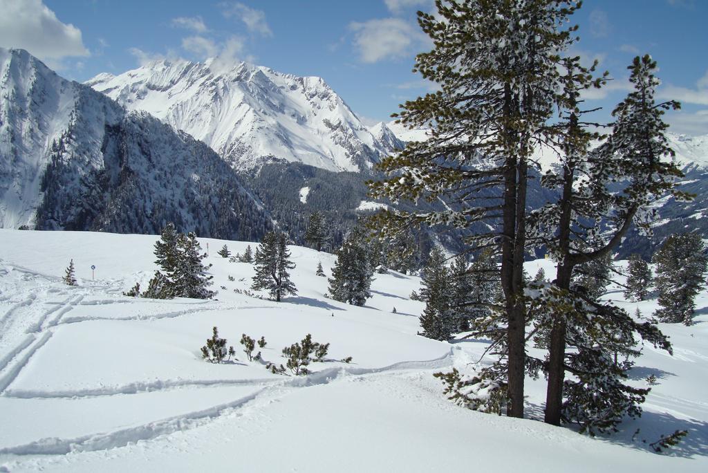 Ferienwohnungen Kroll - Appartements Viktoria Und Landhaus Maria Mayrhofen Luaran gambar