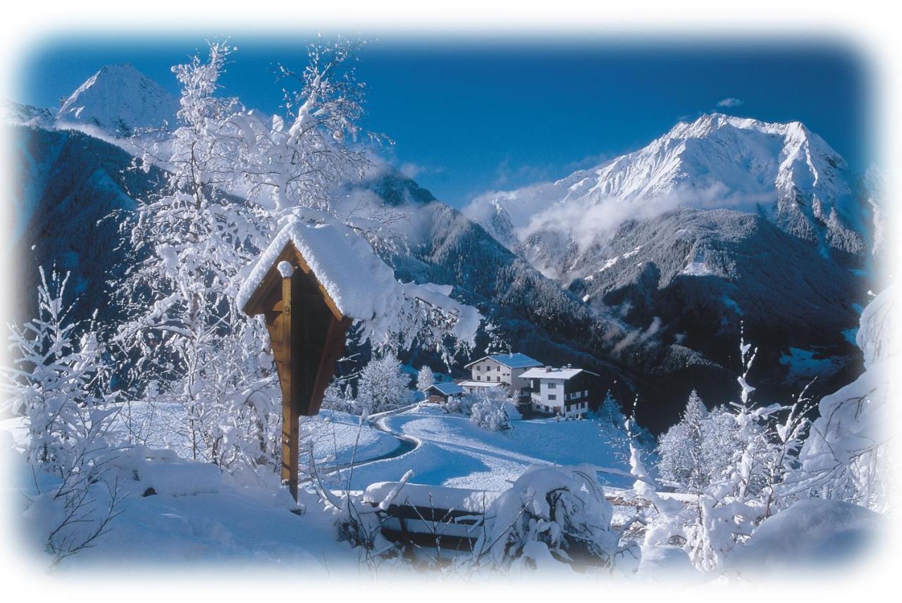 Ferienwohnungen Kroll - Appartements Viktoria Und Landhaus Maria Mayrhofen Luaran gambar